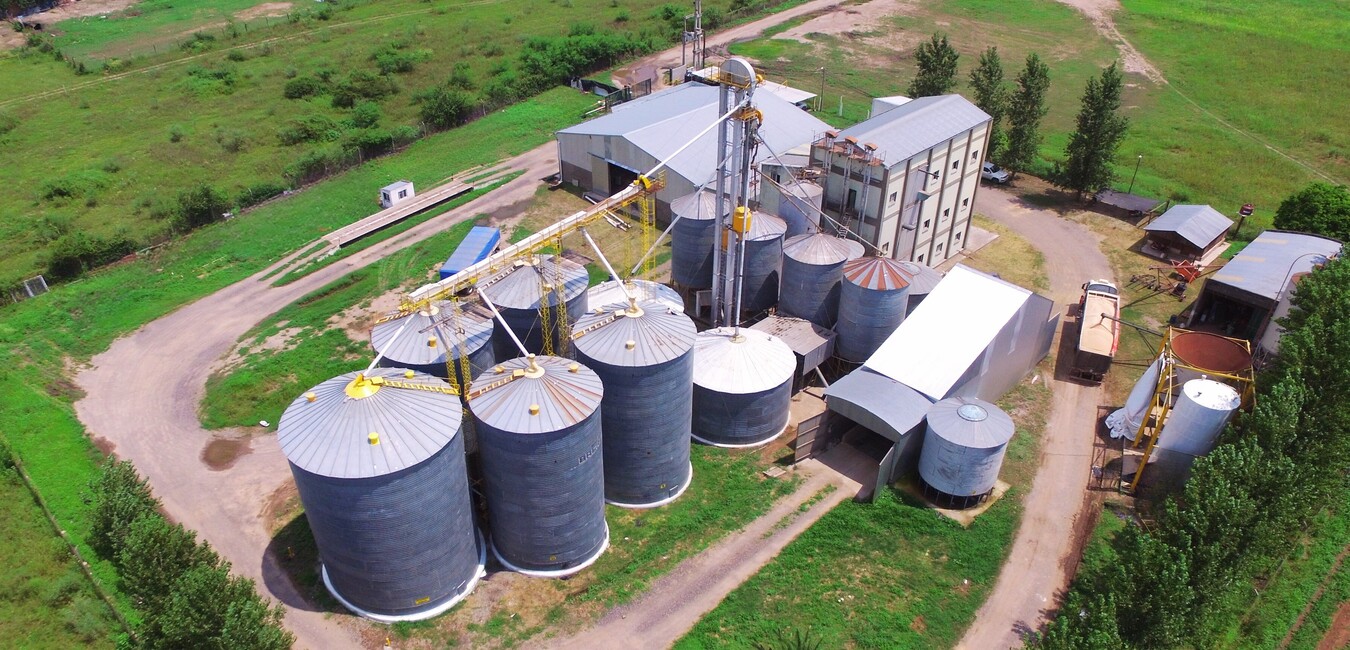 Vista de las instalaciones de Molino el Español